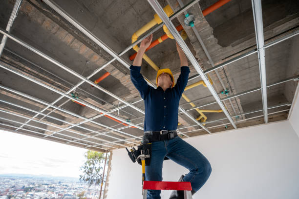 Best Commercial Plumbing Services  in Farmington, MN