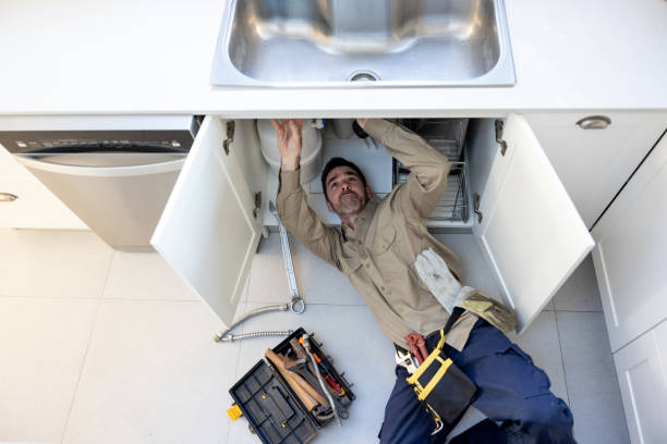 Best Same-Day Plumbing Service  in Farmington, MN