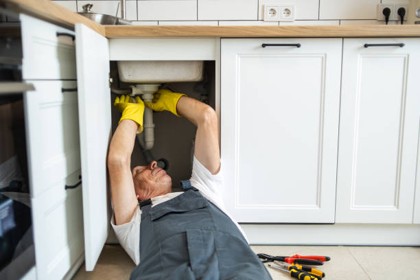 Best Sprinkler Systems  in Farmington, MN