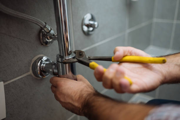 Best Residential Plumbing Services  in Farmington, MN