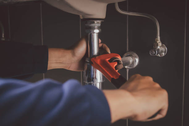 Best Shower Repair Services  in Farmington, MN